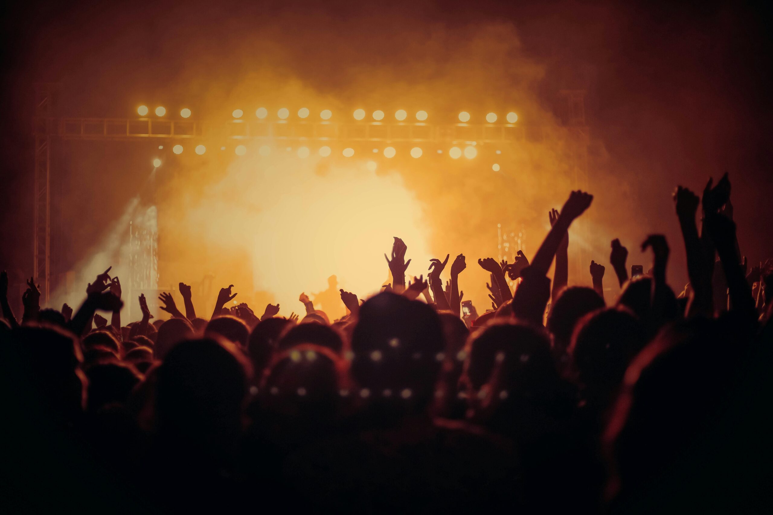 Concert dark with silhouettes of hands in the crowd looking at the stage | Bala Bay Inn Live Events